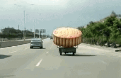 【唐樂(lè)宮】百因必有果，你愛(ài)吃的月餅就是我！(圖1)